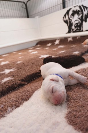 401cac7d-7150-4bc0-b946-5cdad3ca08fc