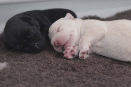 895bf5e2-3f4a-41ca-9d2a-e1e40f71f081