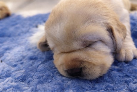 file_000000001fd071fd88f85f705b44f404